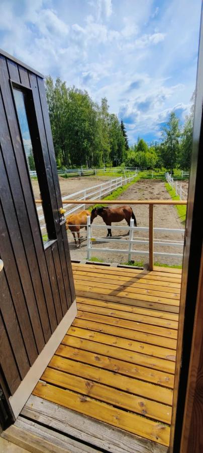 Bb Polle - With The Horse View Lejlighed Mikkeli Eksteriør billede